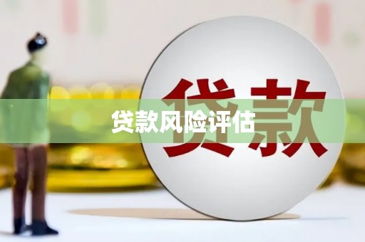 二林贷款风险评估