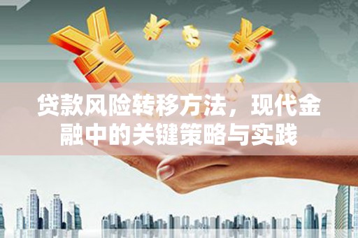 二林贷款风险转移方法，现代金融中的关键策略与实践