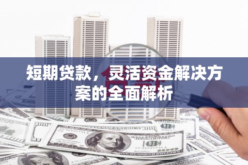 二林短期贷款，灵活资金解决方案的全面解析