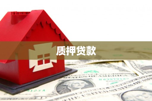 二林质押贷款