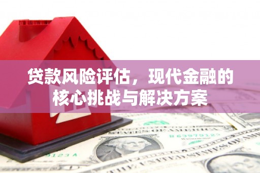 二林贷款风险评估，现代金融的核心挑战与解决方案