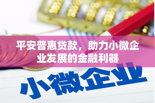 二林平安普惠贷款，助力小微企业发展的金融利器