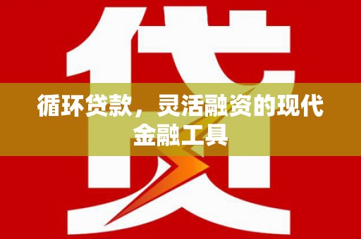二林循环贷款，灵活融资的现代金融工具