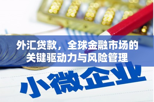 二林外汇贷款，全球金融市场的关键驱动力与风险管理