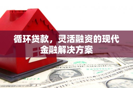 二林循环贷款，灵活融资的现代金融解决方案