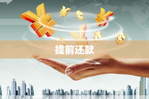 二林提前还款