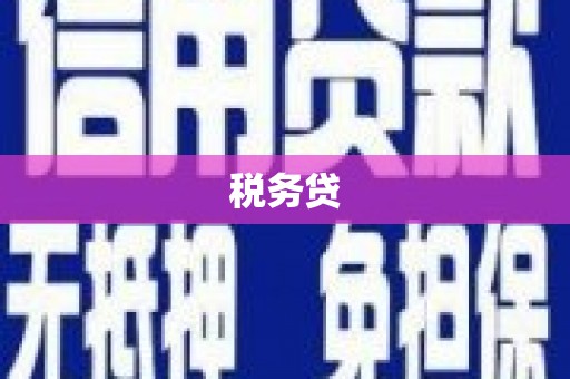 二林税务贷