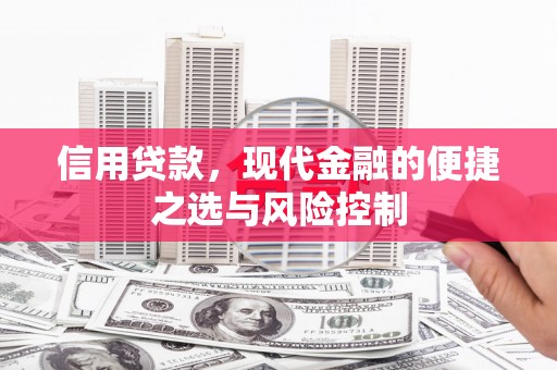 二林信用贷款，现代金融的便捷之选与风险控制