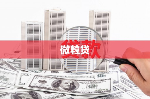 二林微粒贷