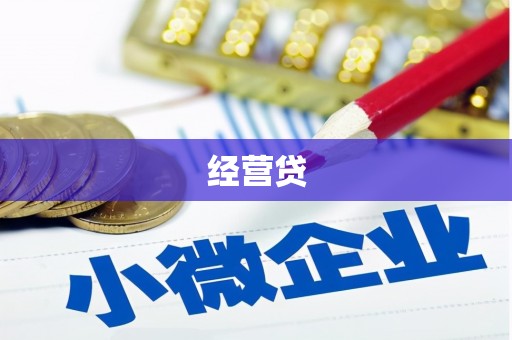 二林经营贷