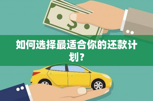 二林如何选择最适合你的还款计划？