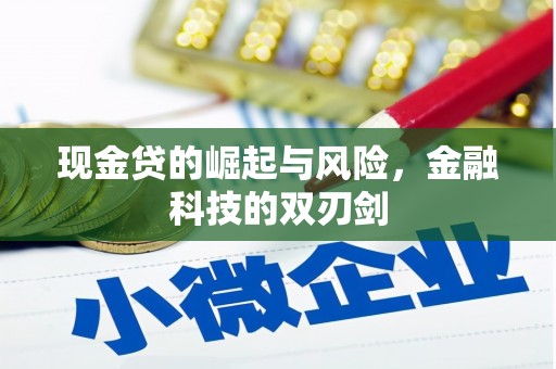 二林现金贷的崛起与风险，金融科技的双刃剑