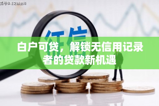 二林白户可贷，解锁无信用记录者的贷款新机遇