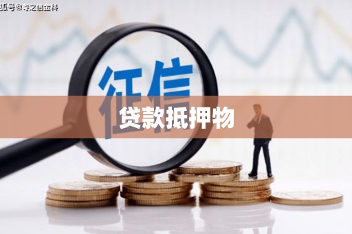 二林贷款抵押物
