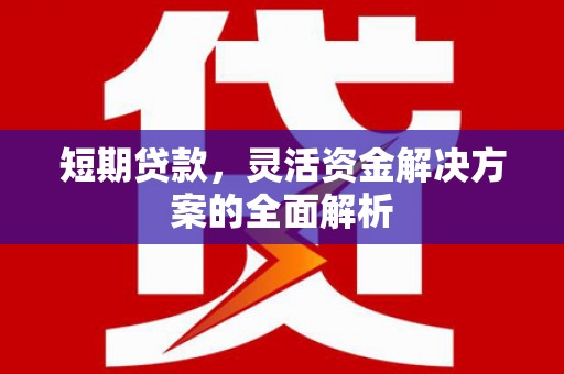 二林短期贷款，灵活资金解决方案的全面解析