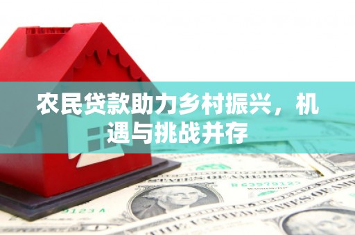 二林农民贷款助力乡村振兴，机遇与挑战并存