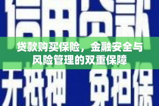 二林贷款购买保险，金融安全与风险管理的双重保障