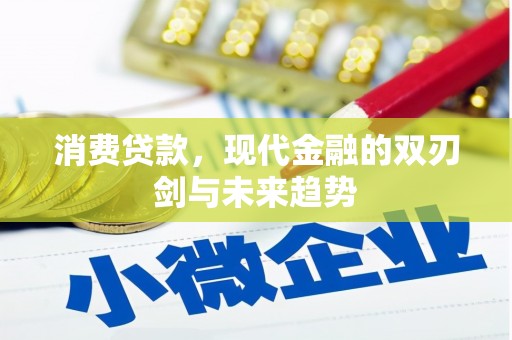 二林消费贷款，现代金融的双刃剑与未来趋势