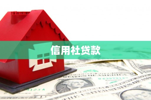 二林信用社贷款