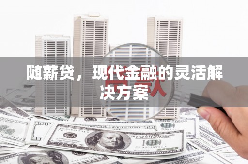 二林随薪贷，现代金融的灵活解决方案