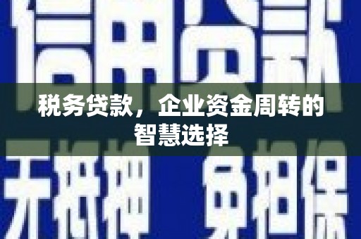 二林税务贷款，企业资金周转的智慧选择