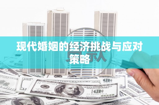 二林现代婚姻的经济挑战与应对策略