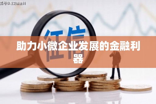 二林助力小微企业发展的金融利器