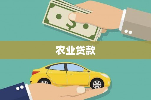 二林农业贷款