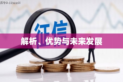 二林解析、优势与未来发展
