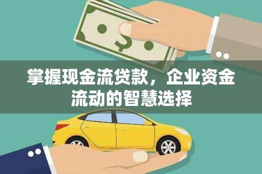 二林掌握现金流贷款，企业资金流动的智慧选择
