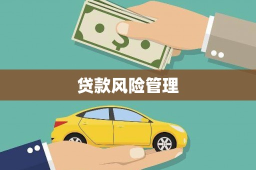 二林贷款风险管理
