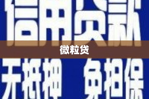 二林微粒贷