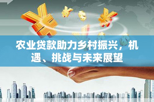 二林农业贷款助力乡村振兴，机遇、挑战与未来展望