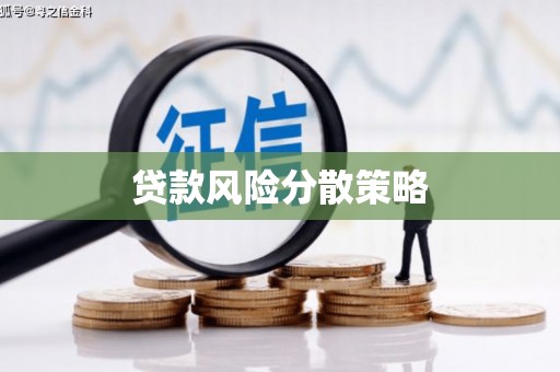 二林贷款风险分散策略