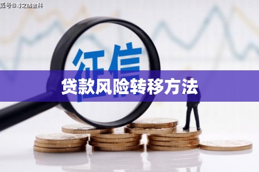 二林贷款风险转移方法