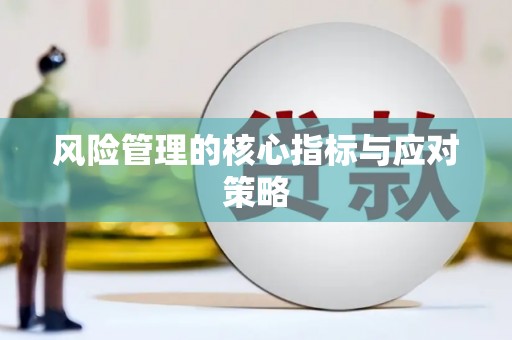 二林风险管理的核心指标与应对策略