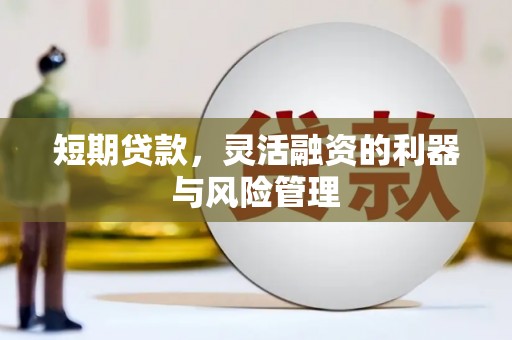 二林短期贷款，灵活融资的利器与风险管理