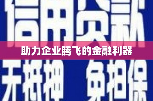 二林助力企业腾飞的金融利器