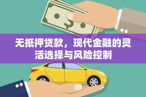 二林无抵押贷款，现代金融的灵活选择与风险控制