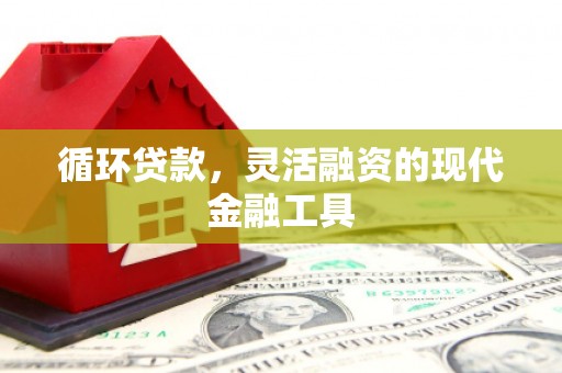 二林循环贷款，灵活融资的现代金融工具
