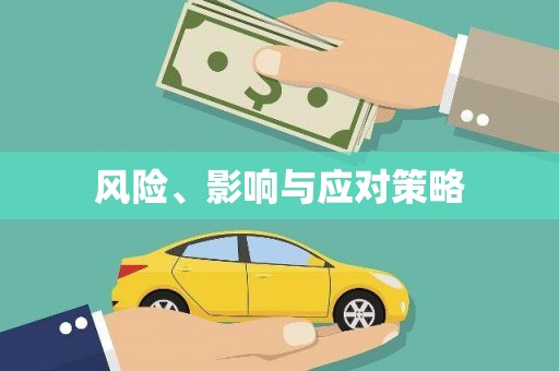二林风险、影响与应对策略