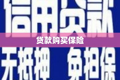 二林贷款购买保险