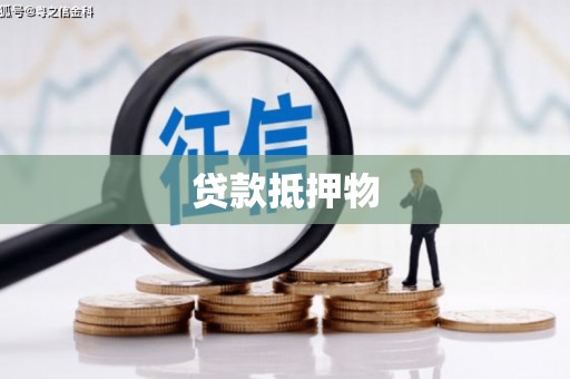 二林贷款抵押物