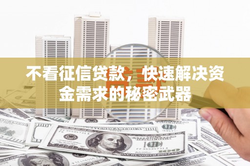 二林不看征信贷款，快速解决资金需求的秘密武器