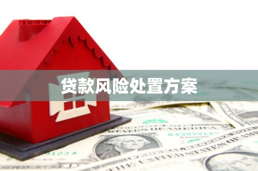 二林贷款风险处置方案