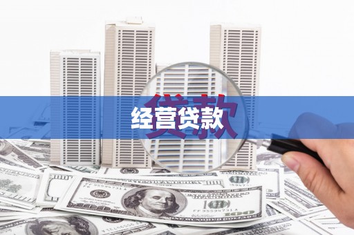 二林经营贷款