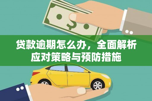 二林贷款逾期怎么办，全面解析应对策略与预防措施