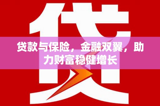 二林贷款与保险，金融双翼，助力财富稳健增长