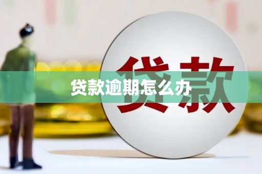 二林贷款逾期怎么办