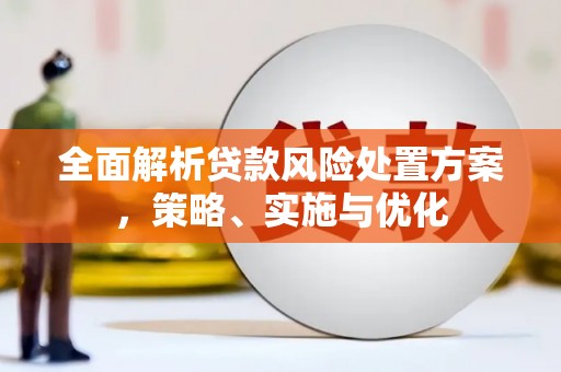 二林全面解析贷款风险处置方案，策略、实施与优化